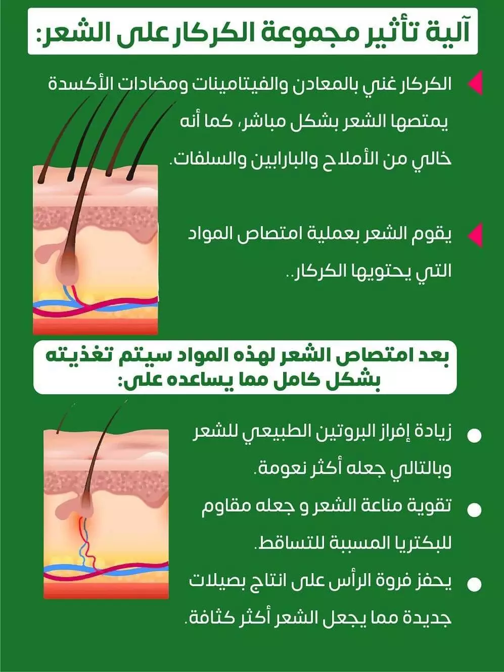 كريم الكركار